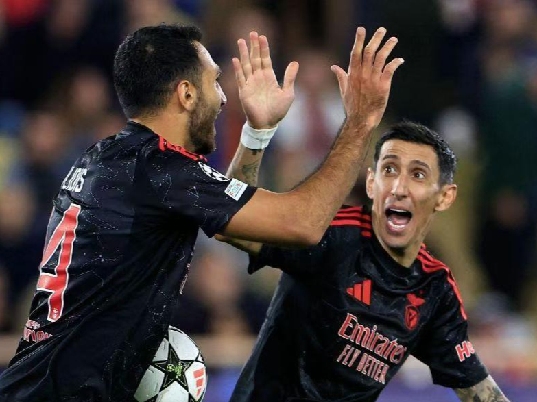  拜仁慕尼黑对本菲卡前瞻 